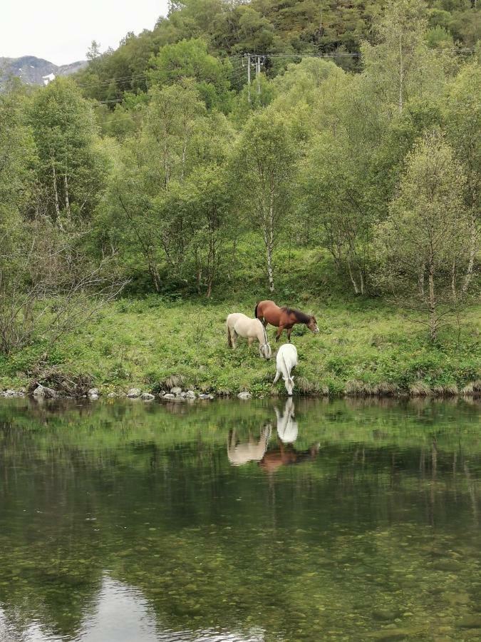 Steinklepp Camping Övre Övre Kvamme Exterior foto